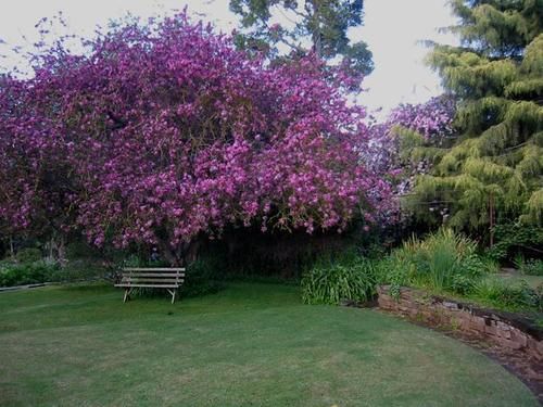 The Lodge Country House Greenock Buitenkant foto